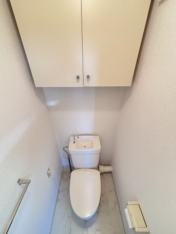 ルミエールＡＩＮＯＫＡＷＡのトイレ