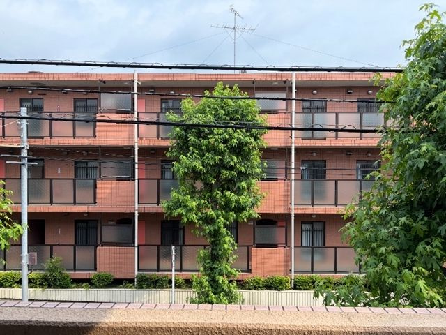 T’s garden都立大学Ⅱ