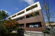 Ｒｏｃｋ　Ｙａｒｄの画像