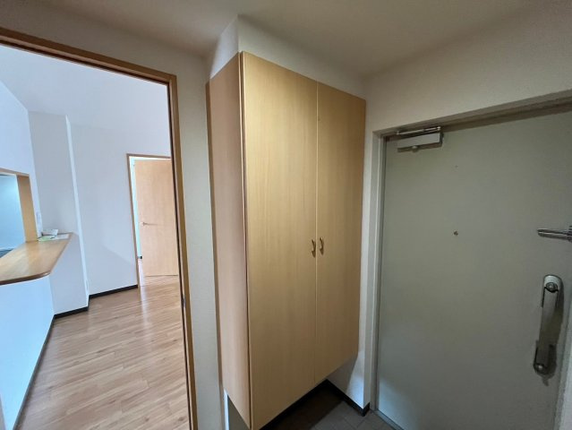 寝屋川市田井西町の賃貸マンションの内装|シューズBOX