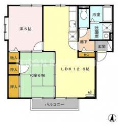 リーフレットエコー Ⅱ号館の間取り