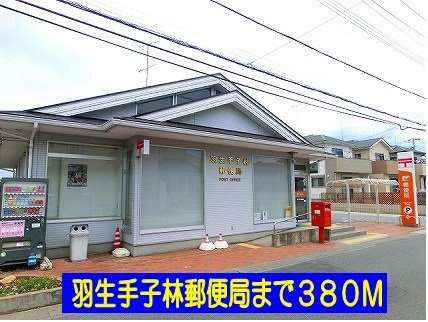 【周辺】 | サニープロムナード | 羽生手子林郵便局まで380m