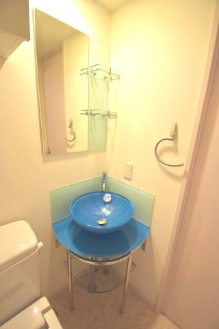 【洗面所】セレニテ新大阪弐番館