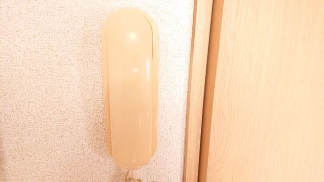 レオパレスラウムふじみ野のその他