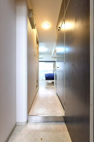 AP960 ラ・レジダンス・ド・京橋 505の玄関|



