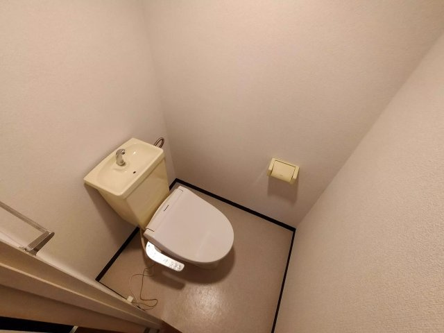AP371 サンライズ壱番館 202のトイレ|



