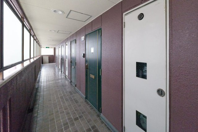 AP256 アンヘルム野田 206のその他共用部分|



