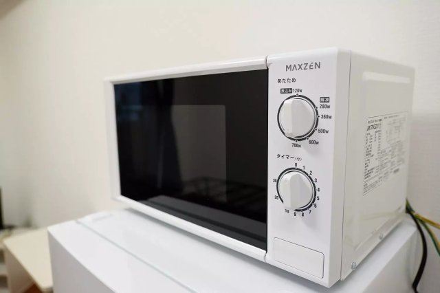 AP131 ディナスティ清水谷Ⅲ 1001のその他|



