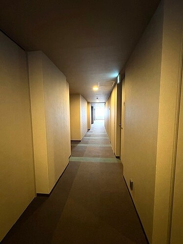 アデニウムタワー梅田のその他|共用廊下