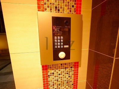 カーサイリーデニシノのセキュリティ