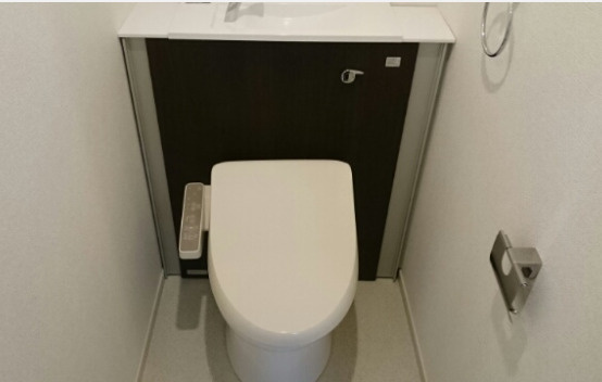 カーサイリーデニシノのトイレ