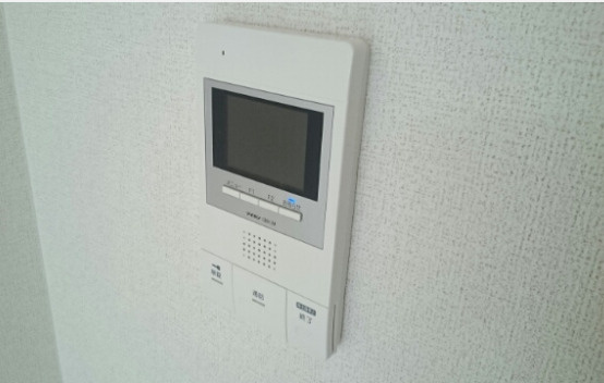 カーサイリーデニシノのセキュリティ