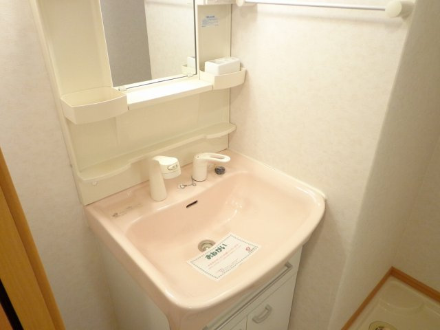 コンフォート大道の洗面所