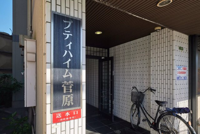 AP553 プティハイム菅原 405のエントランス|



