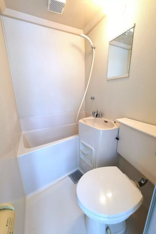 AP492 ホワイトハイツ 302のトイレ|



