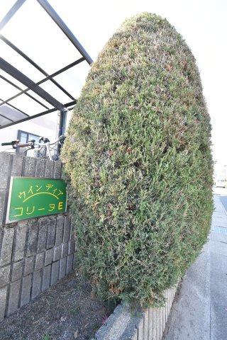 ウィンディアコリーヌE棟のその他