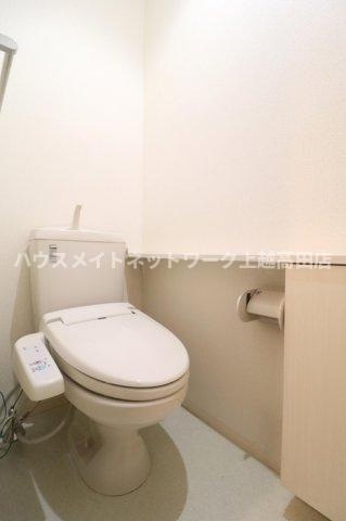 ハイツ９４３ Ｂのトイレ|温水洗浄暖房便座（参考同型206号室室内写真）
