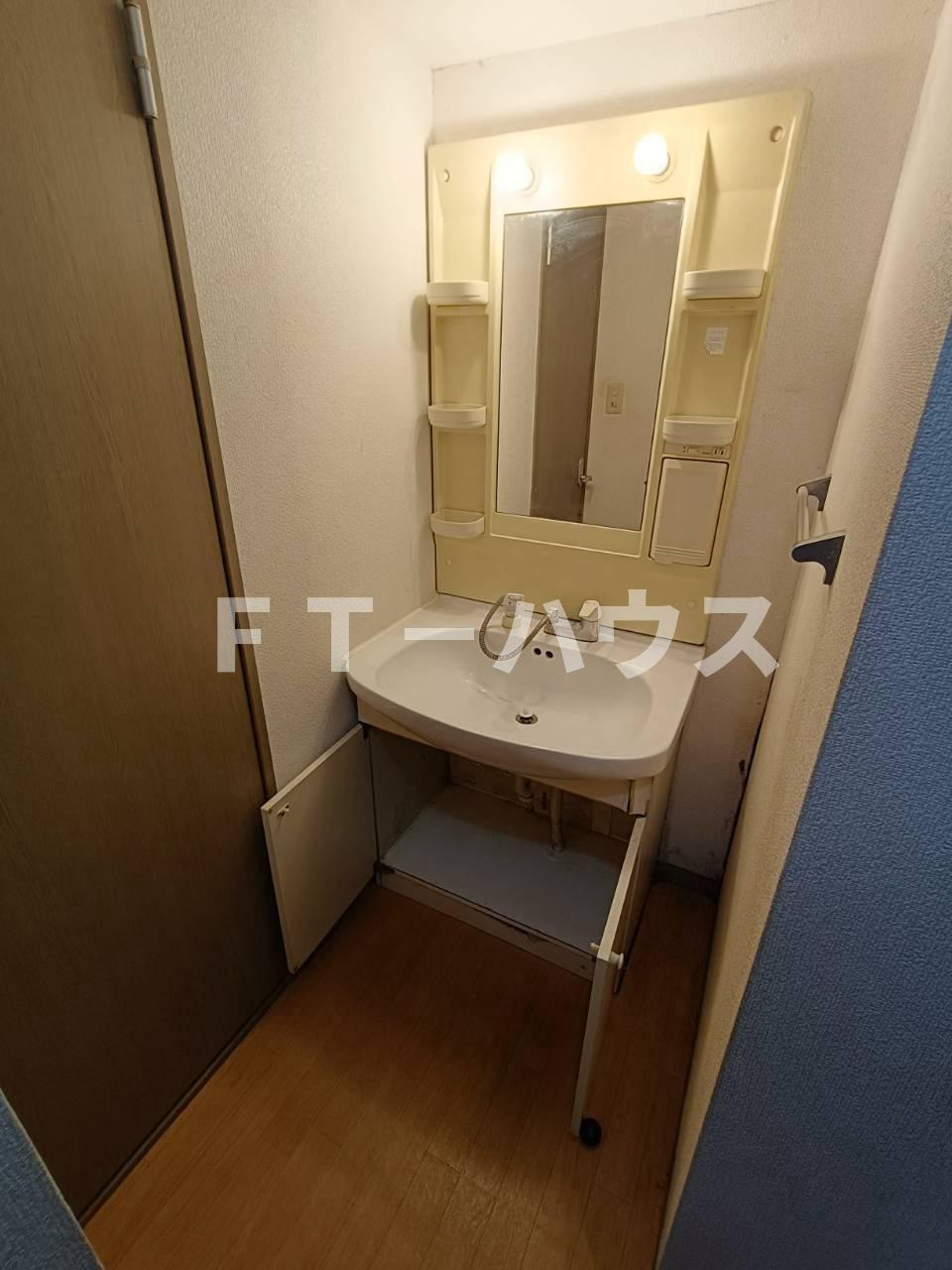 エクセレンス咲の洗面所