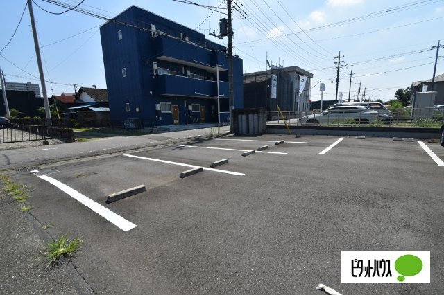 ジェントリー大友のその他