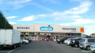 【周辺】 | イリス　Ｂ | ウエルシア薬局小山花垣店まで626ｍ