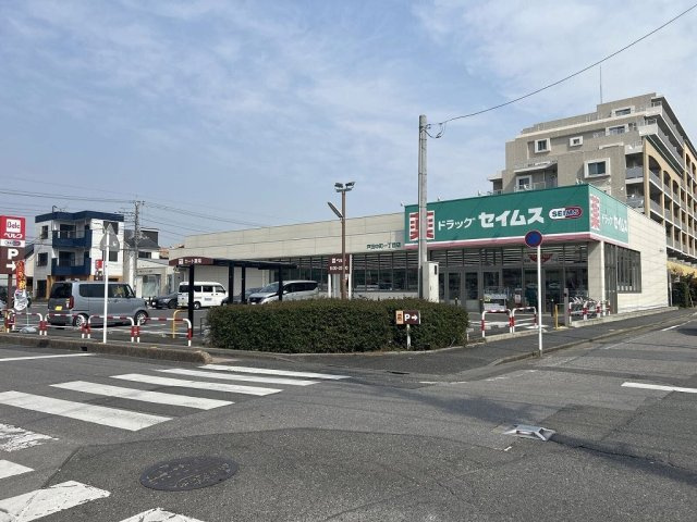 レオパレスラギの周辺