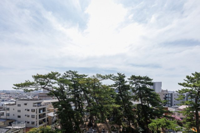 景色