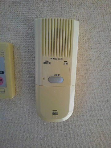 リブリーシャンのセキュリティ