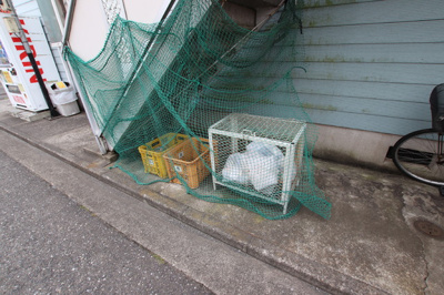 【その他】カメレヤハイツ