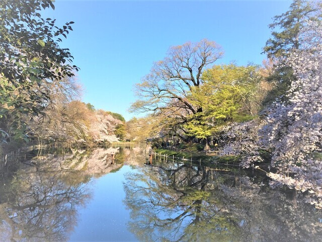 ★井の頭恩賜公園まで400ｍ★