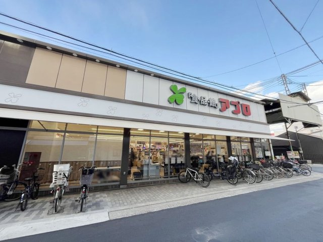 レオパレスアスターの周辺