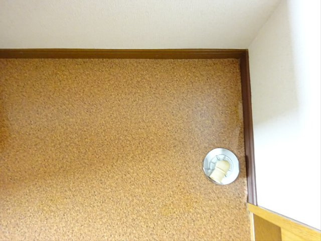 カーサイズミのその他