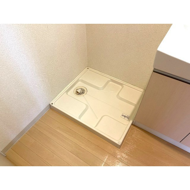 ドッグウッドのその他