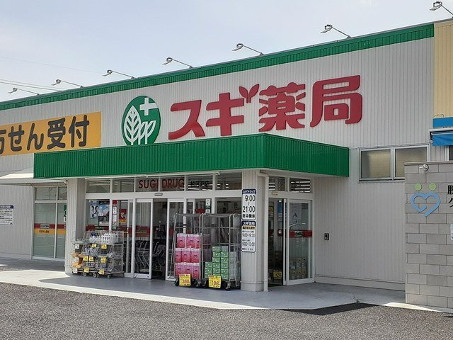 ラフレシールの周辺|スギドラッグ 松河戸店まで1200m
