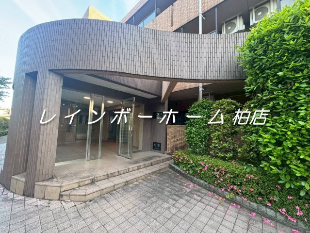 仲介手数料（賃料の1.10ヵ月）の50％OFF対象物件！のエントランス|落ち着いたエントランスです