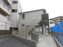 ツバキの画像