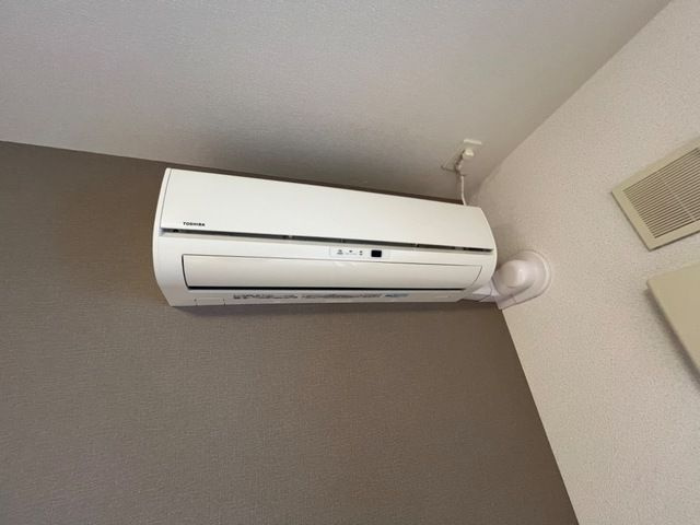 サザンホープのその他