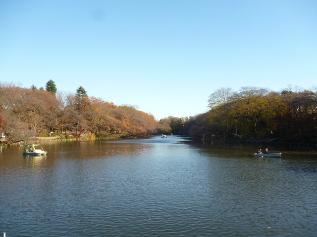 Ｖｉｔａ　Ｓｅｒｅｎａのその他|井の頭恩賜公園