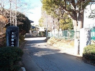 アステール　Ｃ棟の周辺|大曽根小学校まで910m