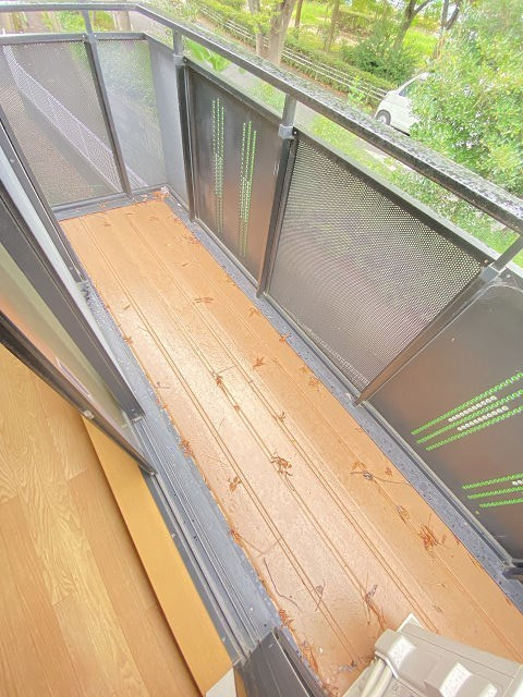 コンフォート出屋敷のバルコニー
