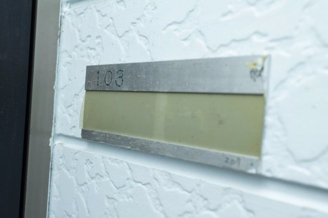 AP288 ライブコアひばりヶ丘 103の玄関|



