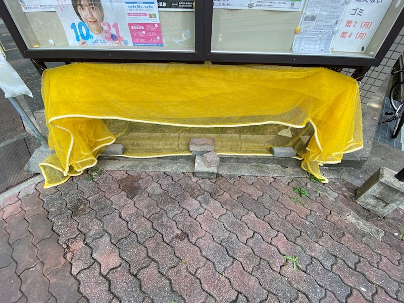 ピアのその他