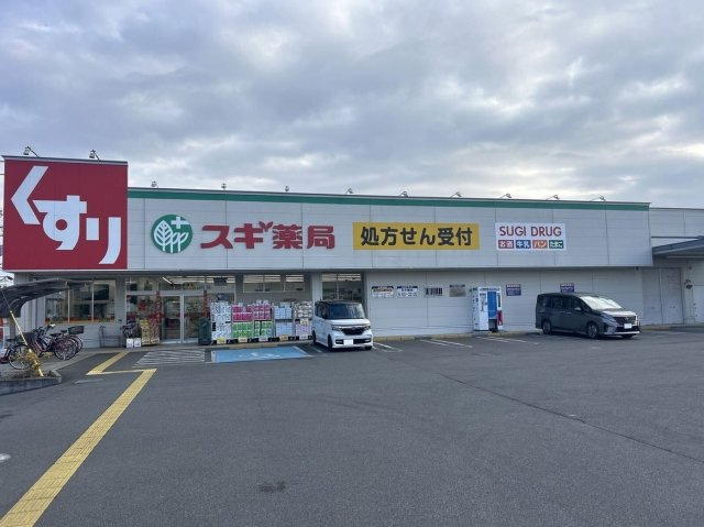 レオパレスピーヌスの周辺