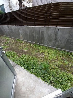 【庭】 | パークウェル大崎