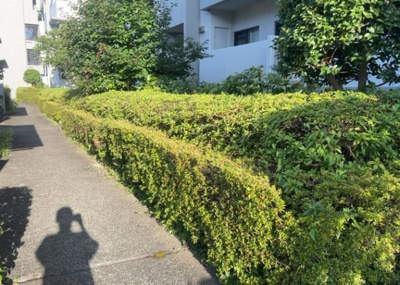 【庭】 | グリーンコープ南大沢５号棟 | 敷地内の緑豊かな植栽やガーデンスペースです。四季折々の自然を感じられる環境が整っており、居住者に安らぎを与えてくれます。前面道路の交通量も少なめのため、静かで落ち着いた住環境が保たれております。