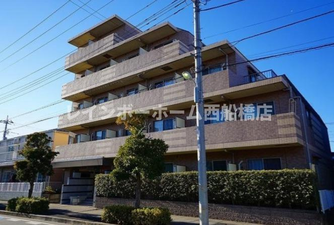 CASSIA市川妙典