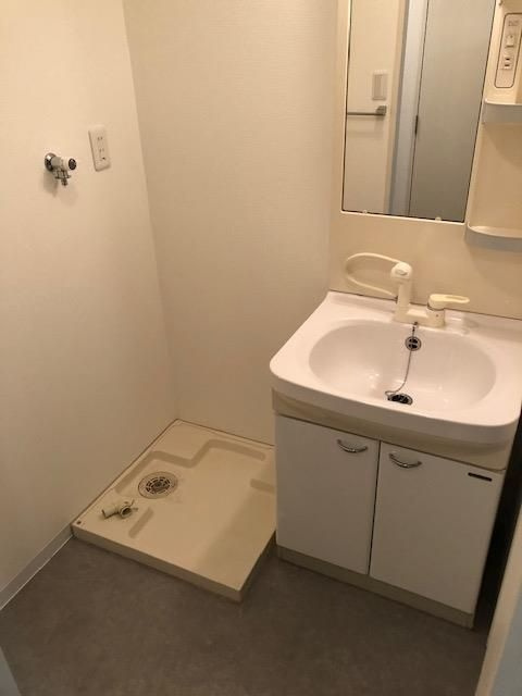 BLOOM LIFE TSUKAGUCHI（ブルームライフ塚口）の洗面所
