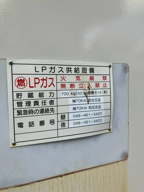 ヴェルドミールのその他