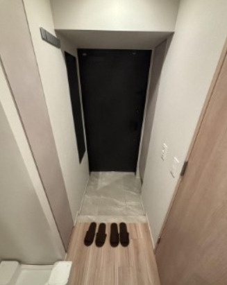 ルフォンプログレ田原町の玄関