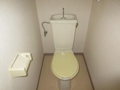 グリーンハウス野沢Ⅱのトイレ