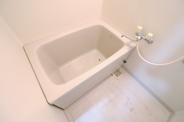 ロイヤルシャトーの浴室